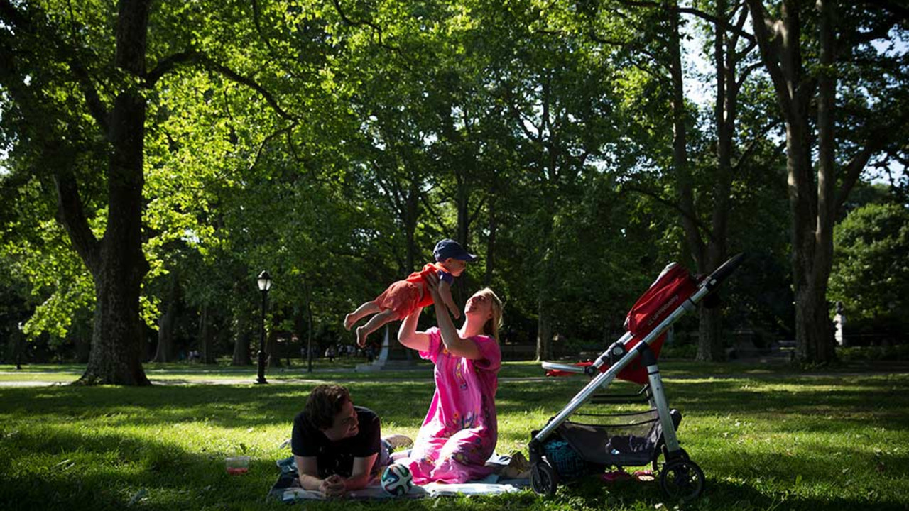 New York City park, 2014. 